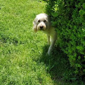 Meet your Posher, Kim